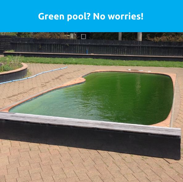 a green swimming pool - Swimmingly Pools